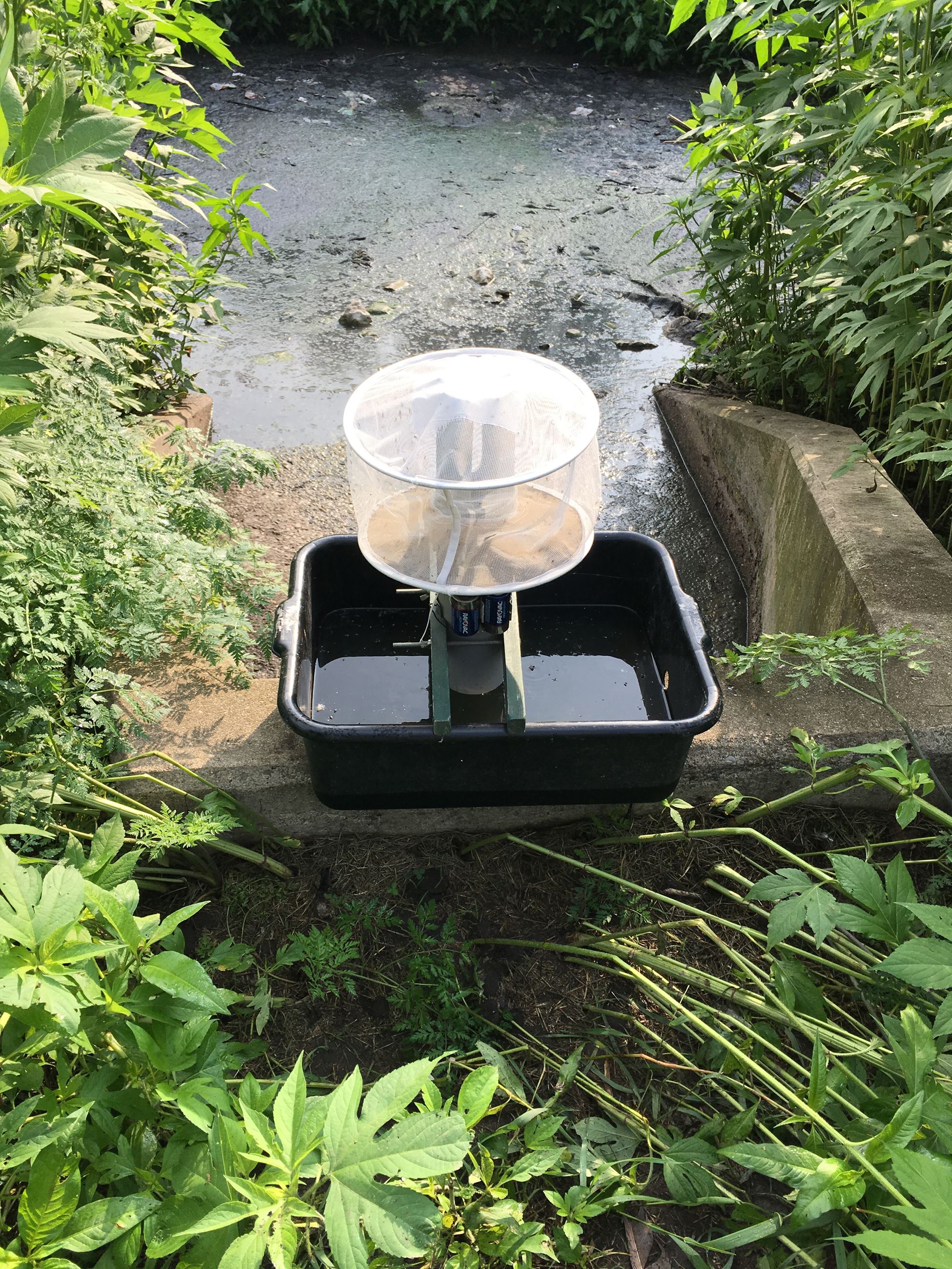 Mosquito Trap